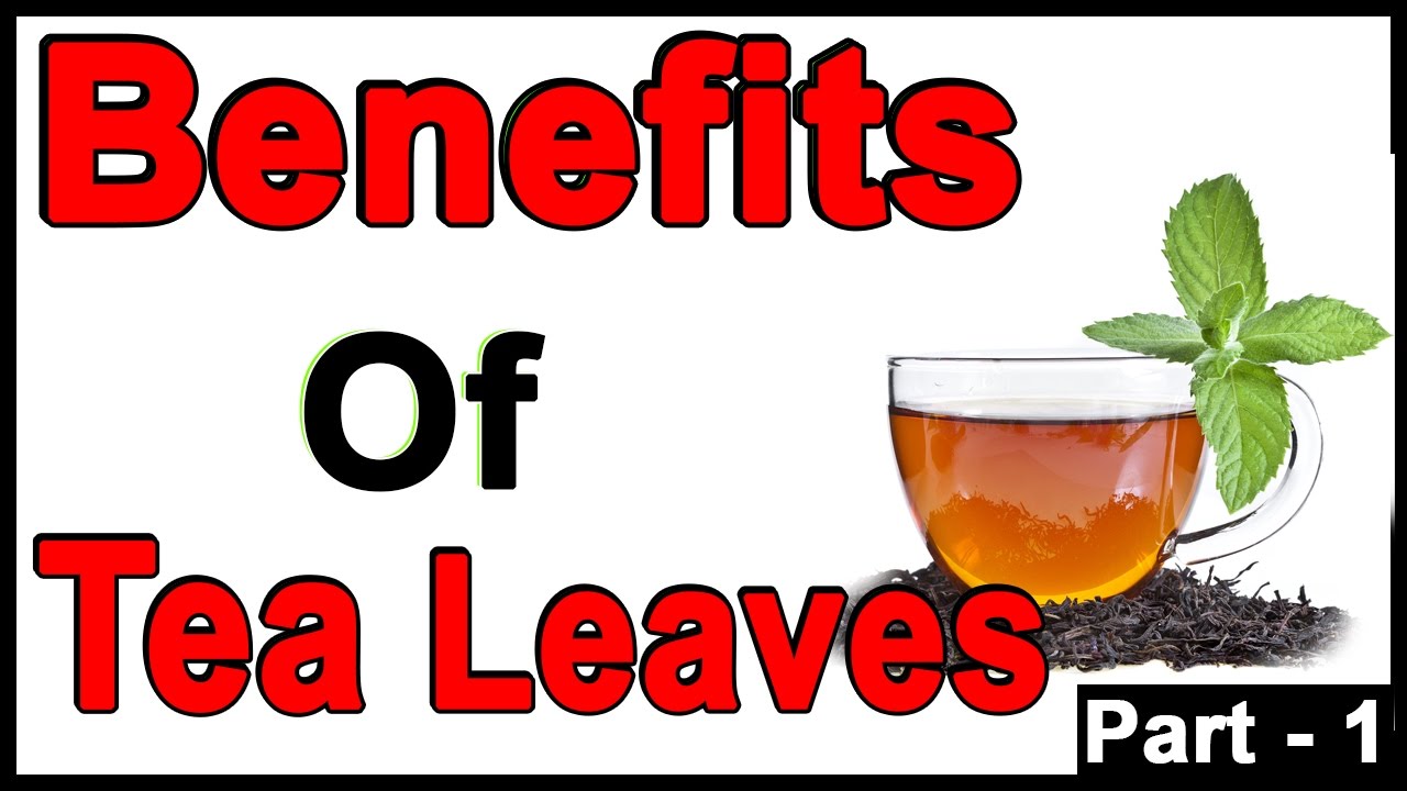 Amazing health benefits of "Tea Leaves" Part 1 Benefits and Uses