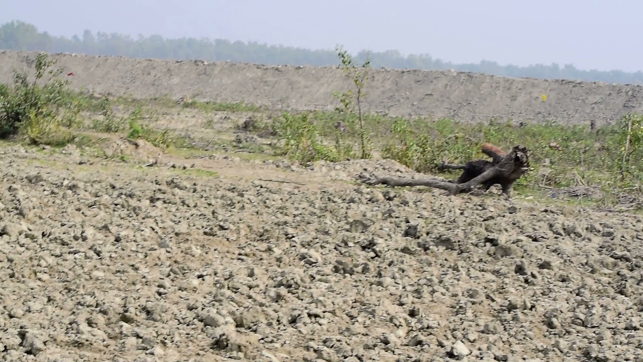 United Themes Shortcode Plugin