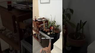 O Item Simples Que Faz Sua Casa Parecer Muito Mais Sofisticada! ✨