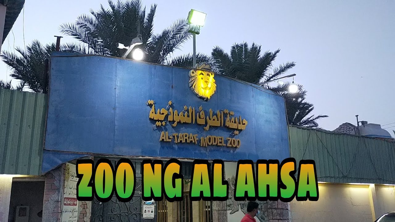 AL-TARAF MODEL ZOO AL-AHSA SAUDI ARABIA l KATOL OFFICIAL
