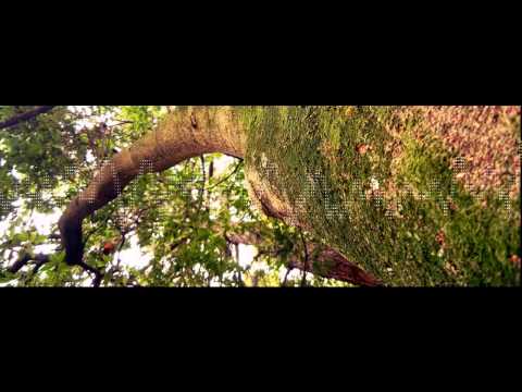 【初音ミク】「dimentia」【オリジナル】