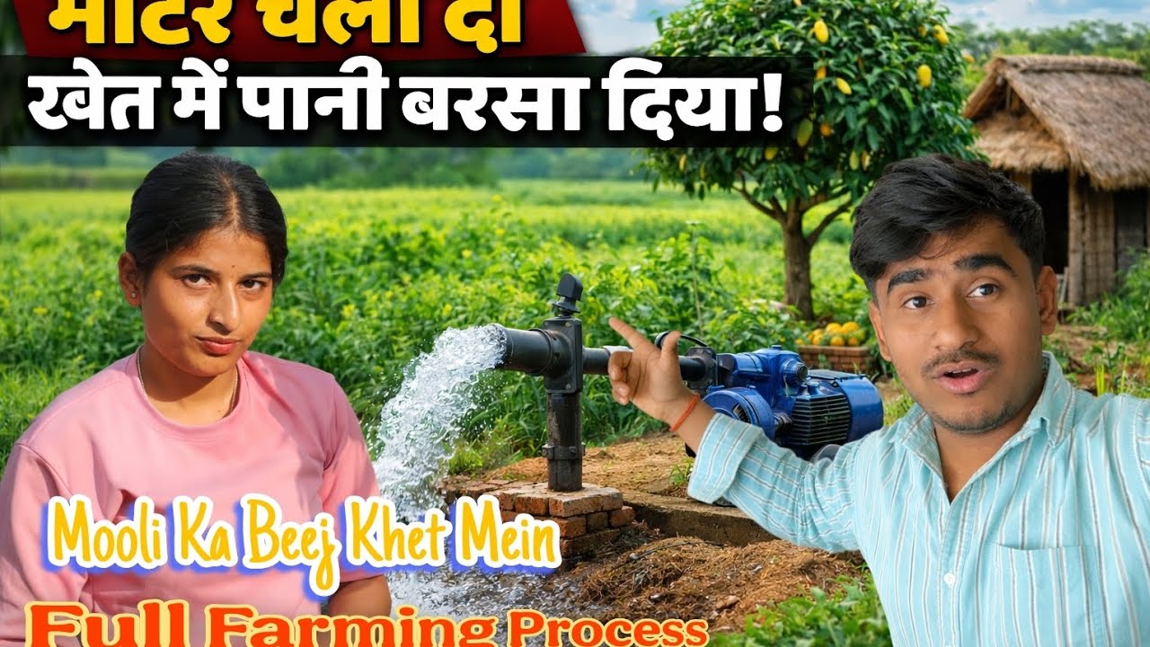 Mooli ka beej khet Mein l Full farming process 😍