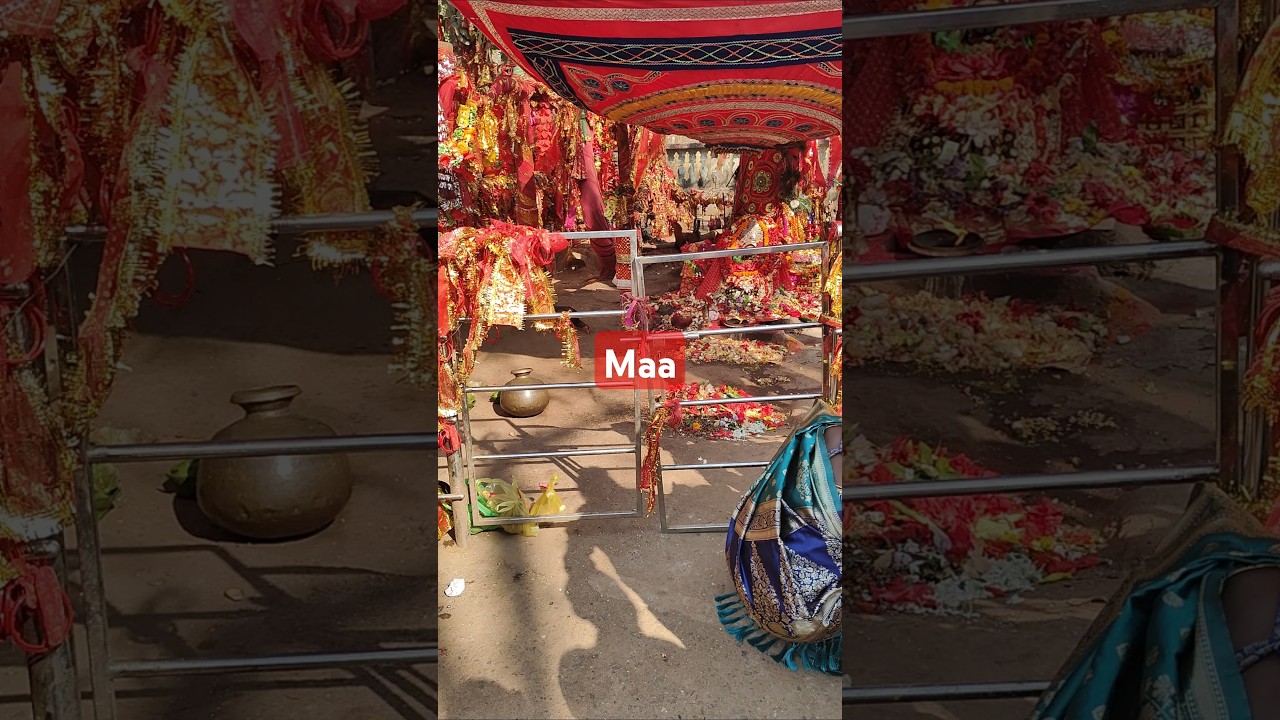 maa bileaisuni 🙏🙏🙏