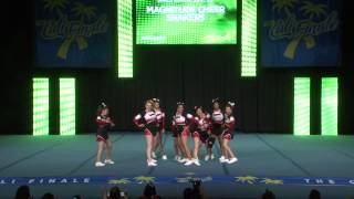 2140  Magnitude Cheer Shakers - Small Senior Lvl 2 A