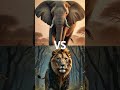 Lion vs Wild Animals (Tiger, Lion, Leopard, Bear)