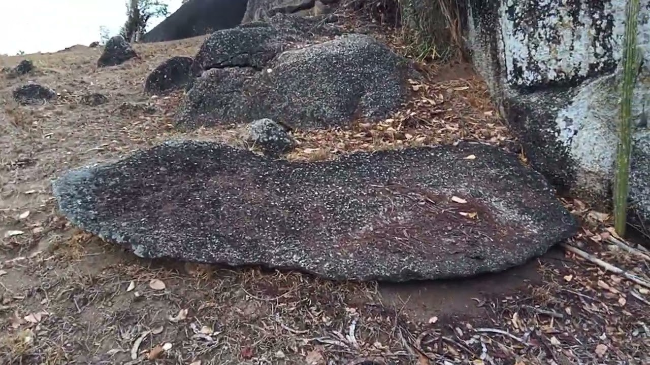 18 de janeiro de 2026