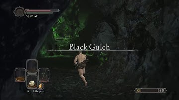 Dark Souls 2 SOTFS Any% Speedrun Console WR (RTA 1:01:03)  RTA No Load 58:59