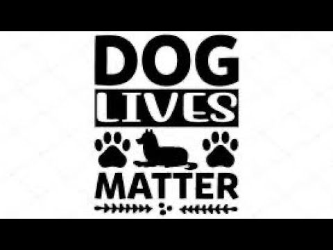 Trying to save that blue nose pitbull dog from Tracey Anderson. She is charged with animal cruelty