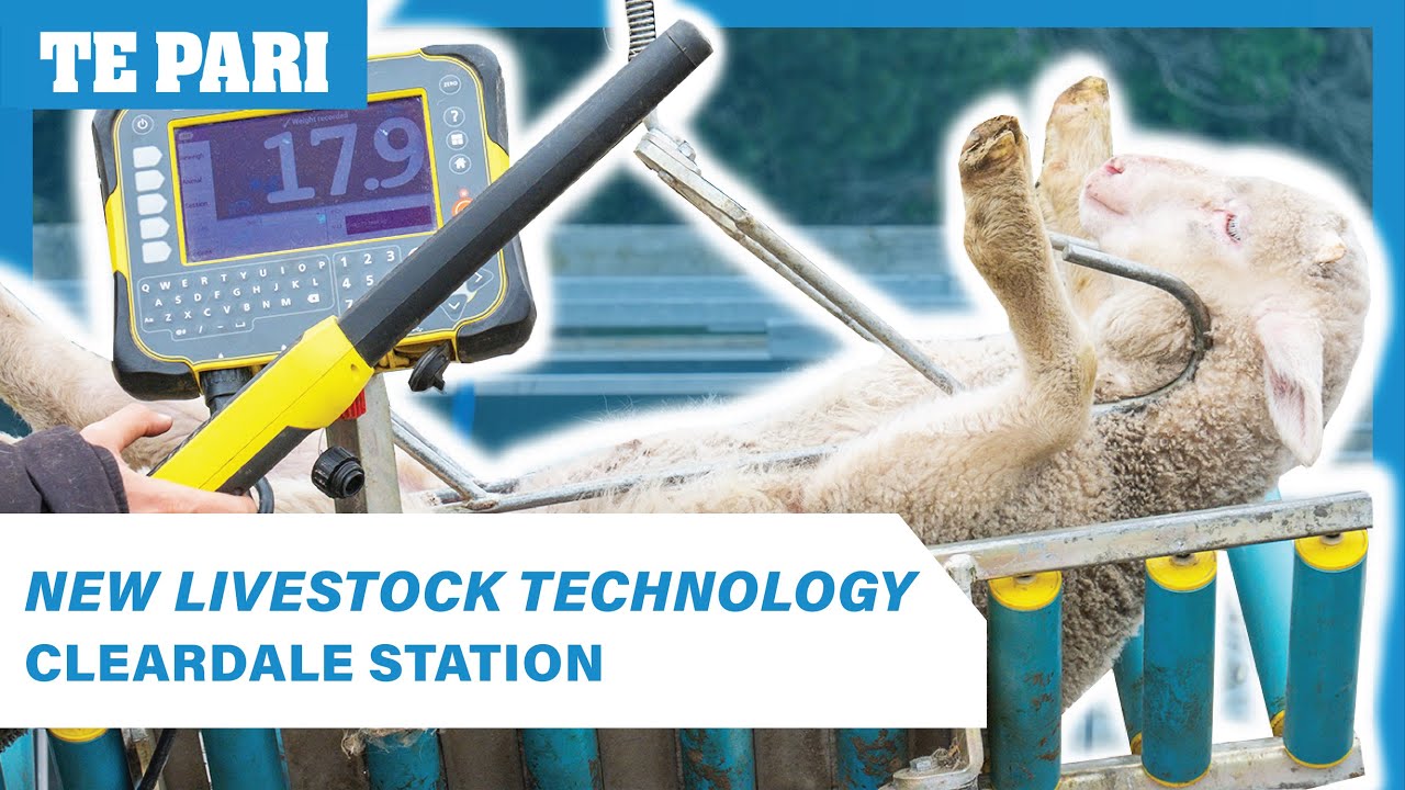 Embracing New Technology | Cleardale Station