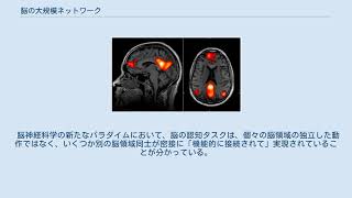 脳の大規模ネットワーク