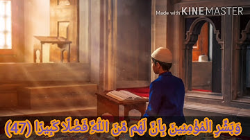 #حالات_واتس وبشر المؤمنين بأن لهم من الله فضلا عظيما ..سورة الأحزاب