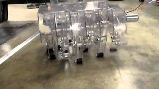 ME130 Walker - First test drive