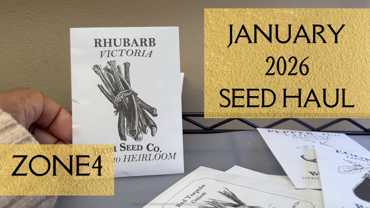 Seed Haul - 2026 Gardening Season - Azure Standard Seeds for Indoor & Outdoor Garden - MN Zone 4