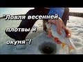 ПашАсУралмашА:-"Ловля весенней плотвы и окуня"!