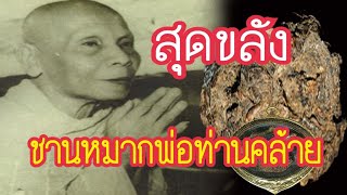 🔴Extremely powerful, Father Than Klai's betel nut, more treasured than amulets -0000150 🔴Extremely powerful, Father Than Klai's betel nut, more treasured than amulets -0000150