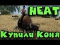 Супер игра HEAT - Первый конь на Диком Западе! Прямой Эфир!