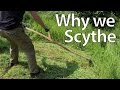 Why we Scythe for Cutting Grass, Mulch and Feed