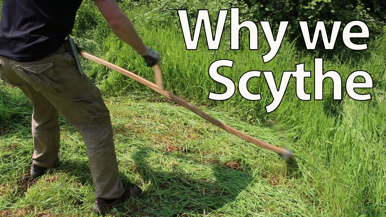 How to cut grass with a scythe - Gardens Illustrated