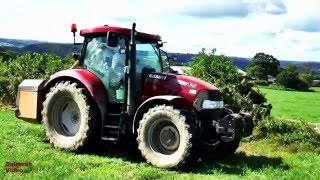 Hedge-cutting with Case 125.