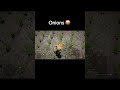 #crimsondesertgameplay #gaming