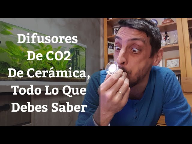 Difusor De CO2 ¿Que es y para que sirve? - Acuario Mania