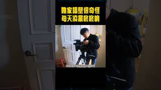 她家墙壁很奇怪，每天凌晨咚咚响 shorts 奇闻趣事 趣事