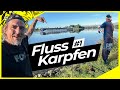 KARPFEN am FLUSS | FISCH nimmt SCHNUR ohne Ende | Karpfenangeln vor den Füßen