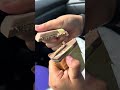 Trying Dubai chocolate