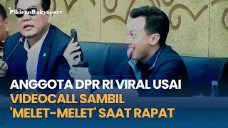 Anggota DPR RI Viral Usai Videocall Sambil 'Melet-Melet' saat Rapat
