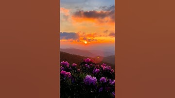 Thumbnail of Sunset Status 😍🥰😘😍🥰😘❤💝🤩😍🥰 #nature #trending #status