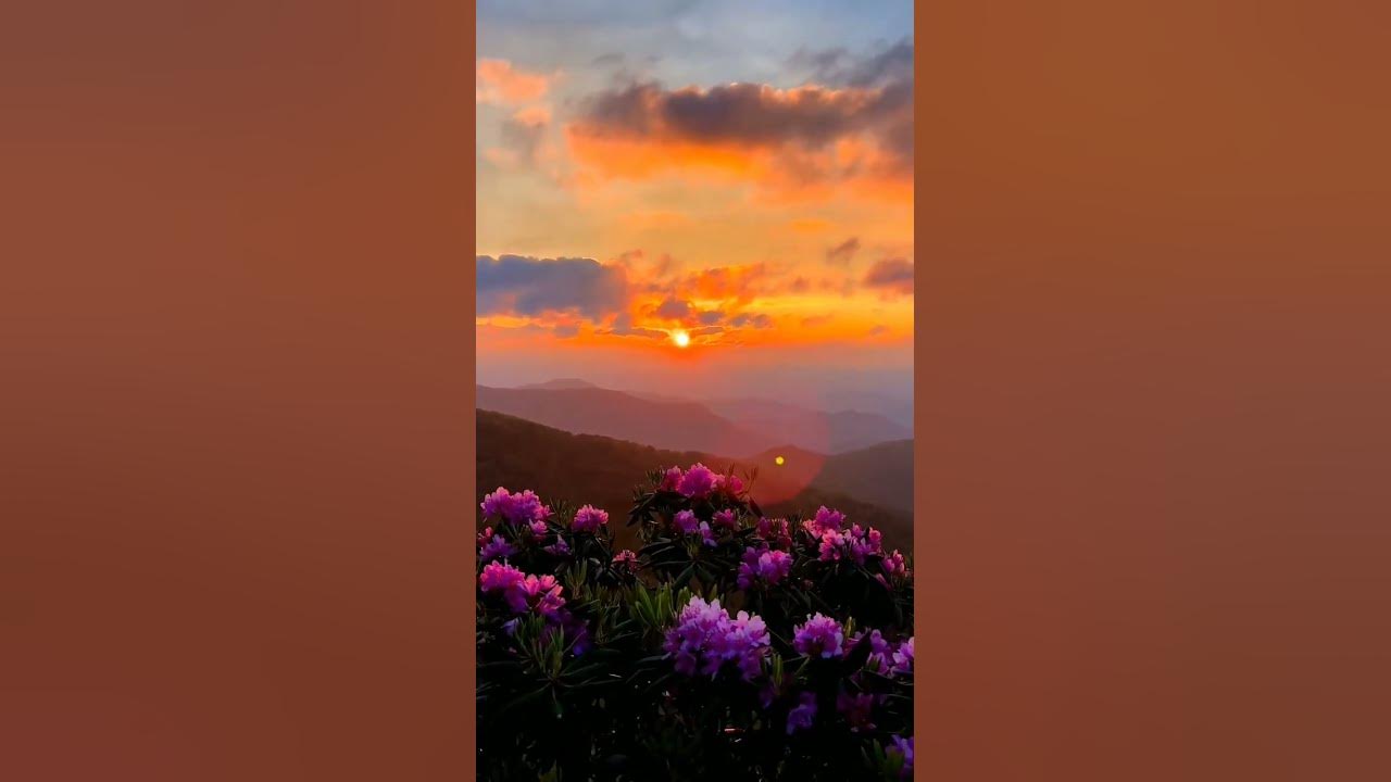 Sunset Status 😍🥰😘😍🥰😘❤💝🤩😍🥰 #nature #trending #status