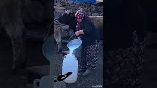 Kemal Yıdız.ana Saçlarıma Beyazlar Doldu. Resimi