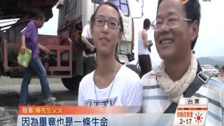【中視新聞】金城武樹剪成光禿禿 原地扶正重種 20140724