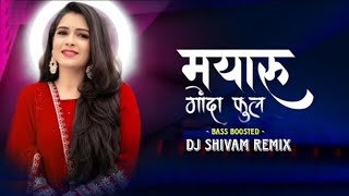 Mayaru Gonda Phool ।। Dj Shivam Remix ।। Bass Mix ।।Cg song ।।@DJ_SHIVAM_REMIX @Dj_Lucky_Rjn