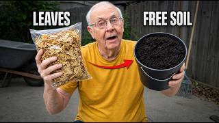 Information Stop Bagging Your Leaves — This Turns Them Into Free Soil Gold News