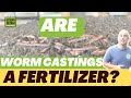 Are Worm Castings A Fertilizer?