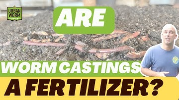 Are Worm Castings A Fertilizer?