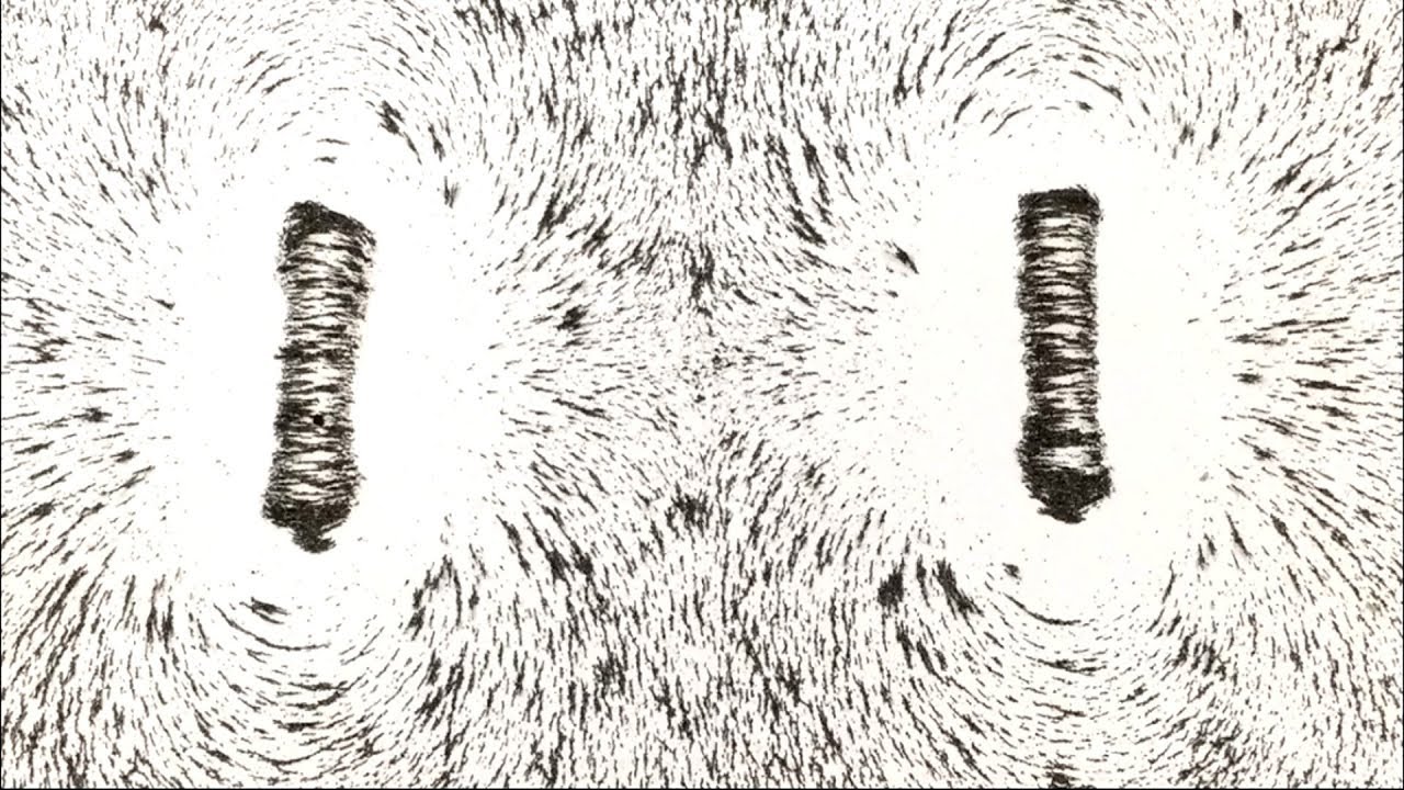 Seeking Help with a New Book about Sasquatch and Telepathy