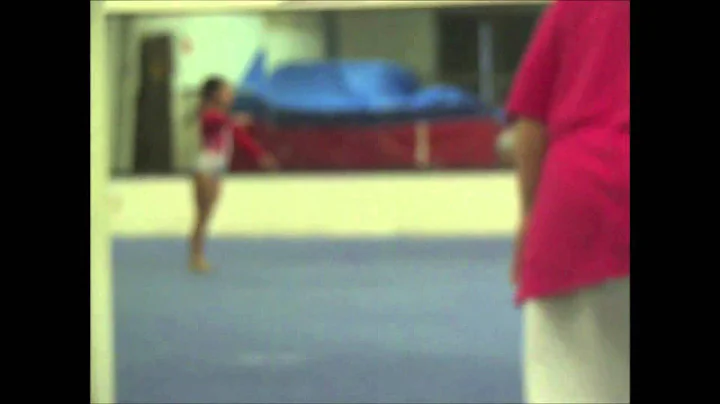 Erika Salinas XV Montage