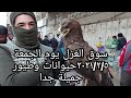 سوق الغزل يوم الجمعة٢٠٢١/٢/٥حيوانات وطيور جميلة جدا