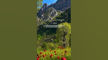 لا إله إلا اللّٰه 🍀 القرآن الكريم 🍀سورة البقره 🍀اللهم صلِ على محمد وعلى آل محمد كما صليت على إبراهيم