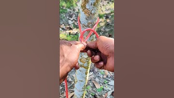 We know Very useful this strong rope knot