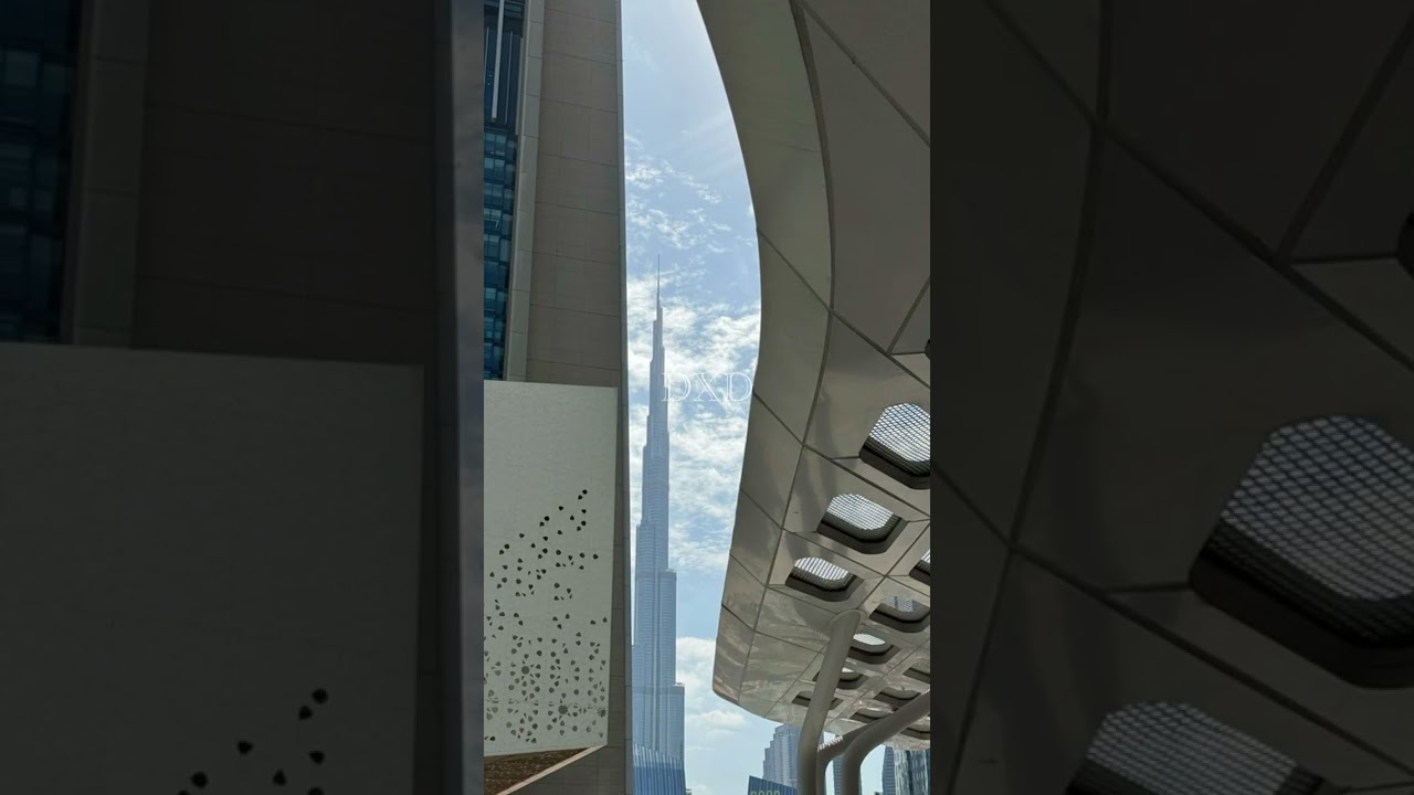 سولفت مع اللّٰه وتقربت به له بالاعمال هذه،فكانت هذه النتايج الجباره اذكرو اللّٰه عليها