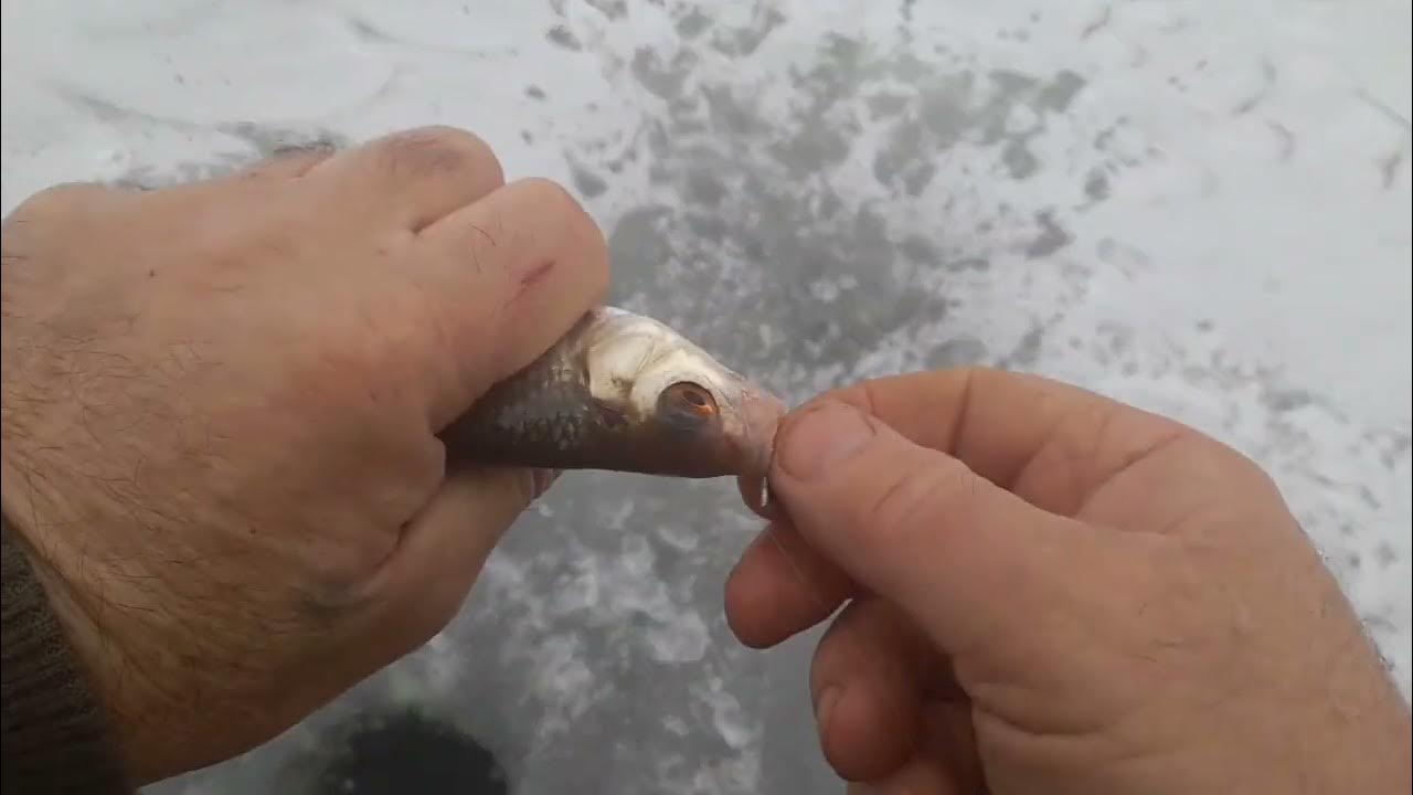 Безмотыльщик охота и рыбалка