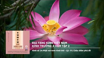 K.Trường A Hàm tập 2 – K.số 24 Phật nói K.Khởi thế – Q1– P1 Châu d 