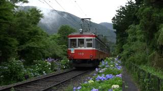 箱根登山鉄道 紫陽花探訪 二ノ平にて サンナナ 20140627