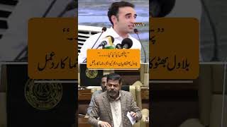 Shariq Jamal Reacts to Bilawal Bhutto’s Statement in Sindh Assembly | MQM Pakistan vs PPP