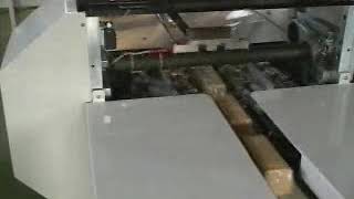 Biscuits on edge L type feeder and Flow wrapping machine