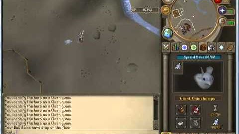 Perfecting Summoning ~ Familiars 11-15