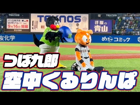 ジャビットと一緒に！つば九郎空中くるりんぱ｜2023年9月5日 巨人戦（神宮球場）